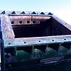 BJD 55